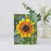 ハガキ付き明るい黄色のひまわり ポストカード (スタンド正面)