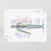 ハガキ図ヒト循環系動脈 ポストカード (正面/裏面)