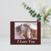 ハガキ大好き ポストカード (スタンド正面)