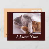 ハガキ大好き ポストカード (正面/裏面)