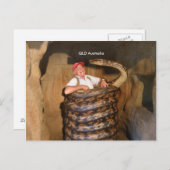 ハガキ大蛇QLDオーストラリア大蛇 ポストカード (正面/裏面)