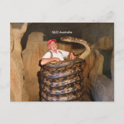 ハガキ大蛇QLDオーストラリア大蛇 ポストカード (正面)
