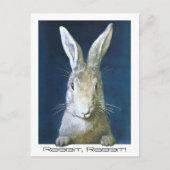 ハガキ家族の幸運ことわざうさぎウサギ！ ポストカード (正面)