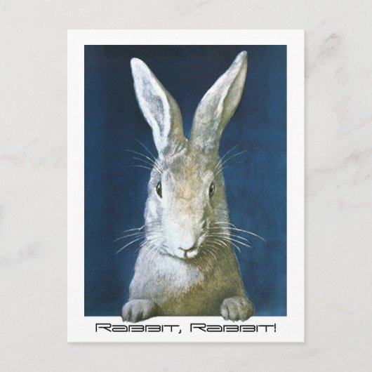 ハガキ家族の幸運ことわざうさぎウサギ! ポストカード (正面)