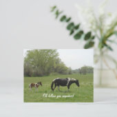 ハガキ後を追を頼む ポストカード (スタンド正面)