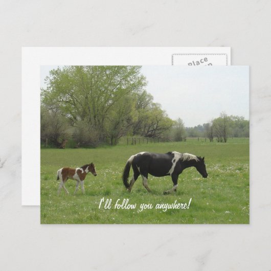 ハガキ後を追を頼む ポストカード (正面/裏面)