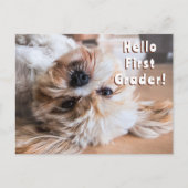 ハガキ歓迎の学生をクラスの子犬に ポストカード (正面)