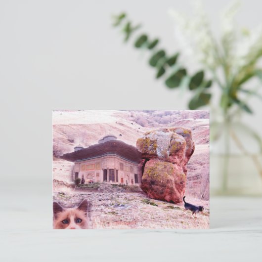 ハガキ熱狂するドッグ猫コレージおもしろいー ポストカード (スタンド正面)