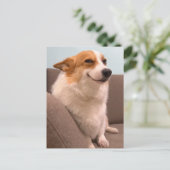 ハガキ笑顔コルギミーム ポストカード (スタンド正面)