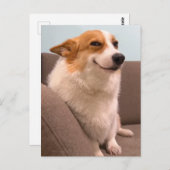 ハガキ笑顔コルギミーム ポストカード (正面/裏面)