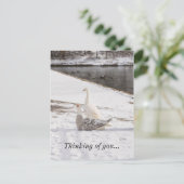 ハガキ考えの上に ポストカード (スタンド正面)