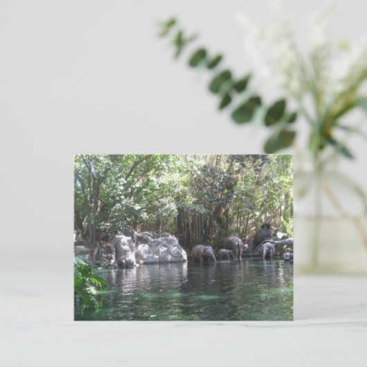 ハガキ遊に象たち ポストカード (スタンド正面)