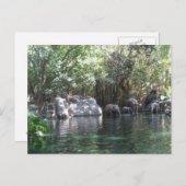 ハガキ遊に象たち ポストカード (正面/裏面)