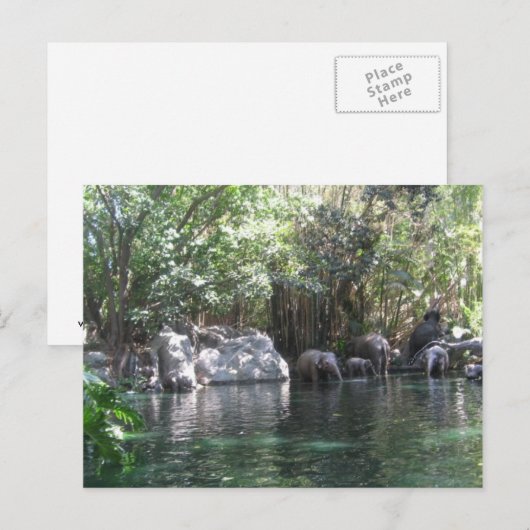 ハガキ遊に象たち ポストカード (正面/裏面)