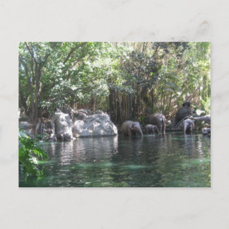 ハガキ遊に象たち ポストカード