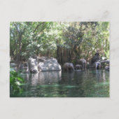 ハガキ遊に象たち ポストカード (正面)