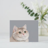 ハガキ重い呼吸キャットミーム ポストカード (スタンド正面)