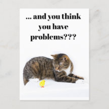 ハガキ・カッツシャウト「クューケン」とシュヴァルツァー・ユーモア