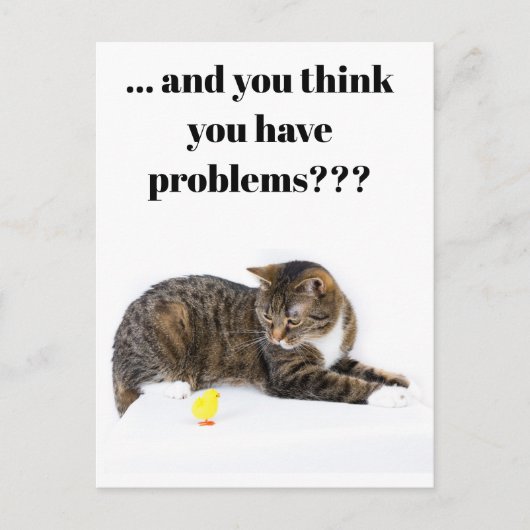 ハガキ・カッツシャウト「クューケン」とシュヴァルツァー・ユーモア ポストカード (正面)