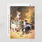 ハガキ:「カブトムシ遊の子猫たち」 ポストカード (正面/裏面)