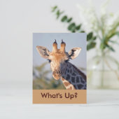 ハガキ… ポストカード (スタンド正面)