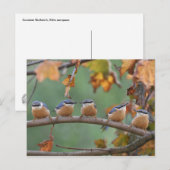 ハガキ ポストカード (正面/裏面)