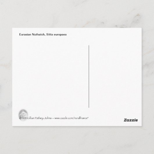 ハガキ ポストカード (裏面)