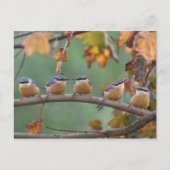 ハガキ ポストカード (正面)