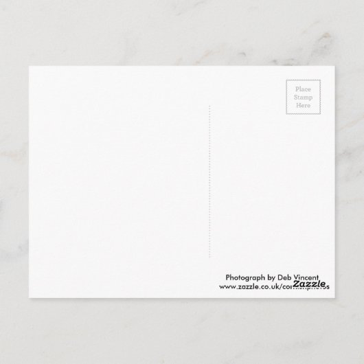 ハガキ ポストカード (裏面)