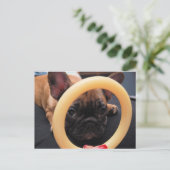 ハガキ ポストカード (スタンド正面)