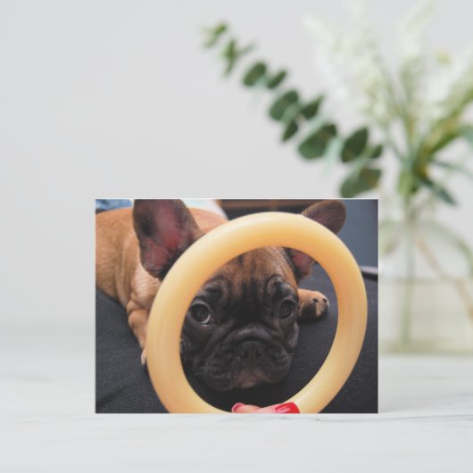 ハガキ ポストカード (スタンド正面)