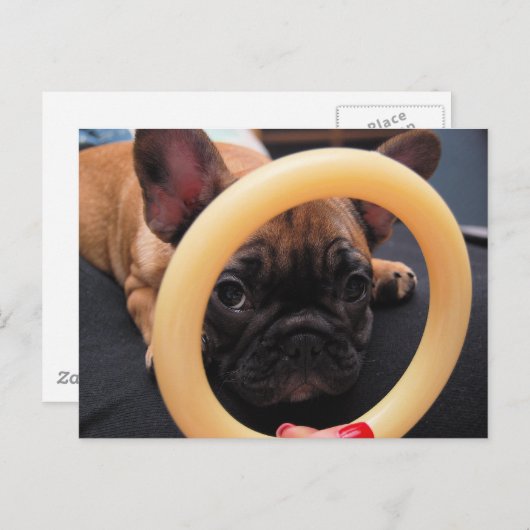 ハガキ ポストカード (正面/裏面)