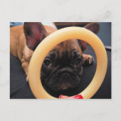 ハガキ ポストカード (正面)