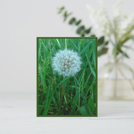 ハガキ ポストカード (スタンド正面)