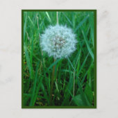 ハガキ ポストカード (正面)