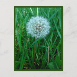 ハガキ ポストカード