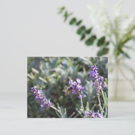 ハガキ ポストカード (スタンド正面)