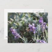 ハガキ ポストカード (正面/裏面)