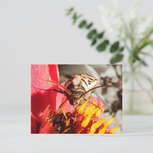 ハガキ ポストカード (スタンド正面)