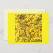 ハガキ、金色のハシバミ、明るい黄色 ポストカード (正面/裏面)