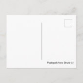 ハガキ – Philadelphia Cat near City Hall ポストカード (裏面)