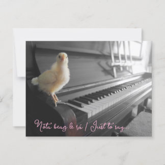 ハガキNota beag le rah /言いたいことだ ポストカード