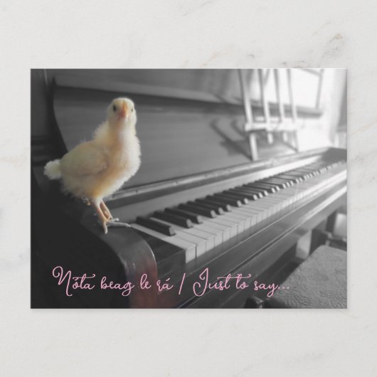 ハガキNota beag le rah /言いたいことだ ポストカード (正面)