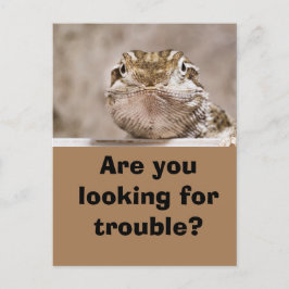 ハガキUmous Echaut schaut herausfordernd hervor ポストカード