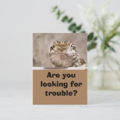 ハガキUmous Echaut schaut herausfordernd hervor ポストカード (スタンド正面)