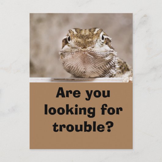 ハガキUmous Echaut schaut herausfordernd hervor ポストカード (正面)