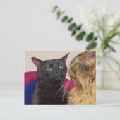 ハガキZONED OUT猫ミーム ポストカード (スタンド正面)