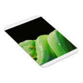 ハキヘビ マグネット (右側)