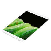 ハキヘビ マグネット (左側)