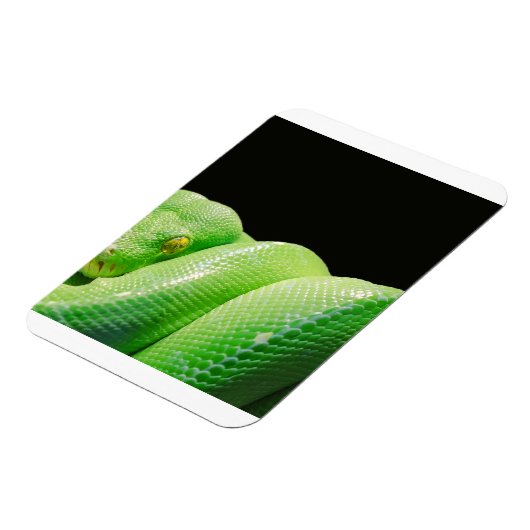 ハキヘビ マグネット (左側)